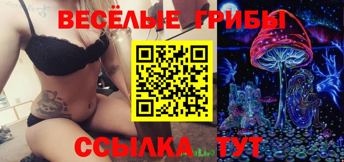Псилоцибиновые грибы ЛСД Волгодонск